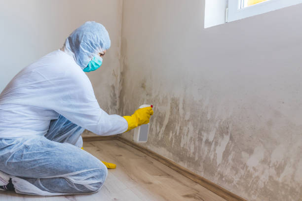 Mold Remediation specialist working in Broomall