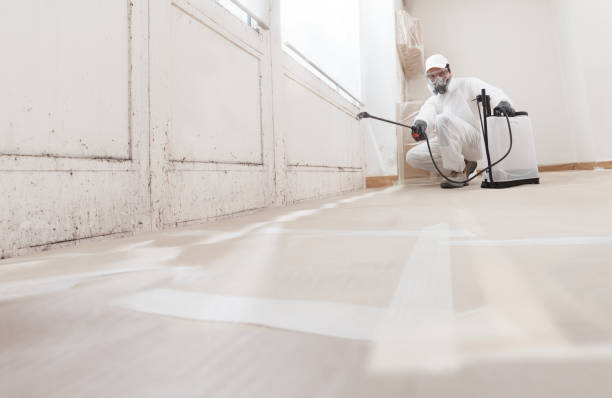 Post-remediation clearance in Broomall